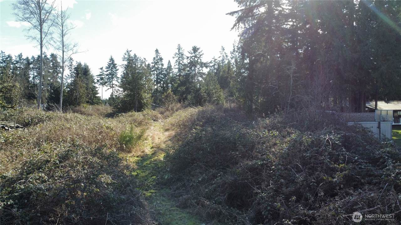 1210 Irondale Road - Photo 1