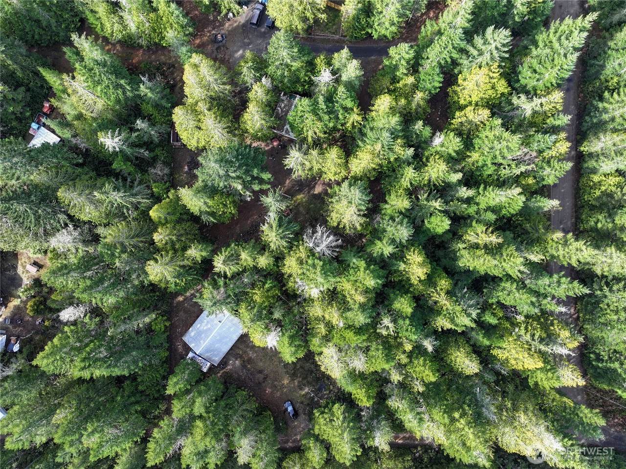 260 Kissin Tree Lane - Photo 1