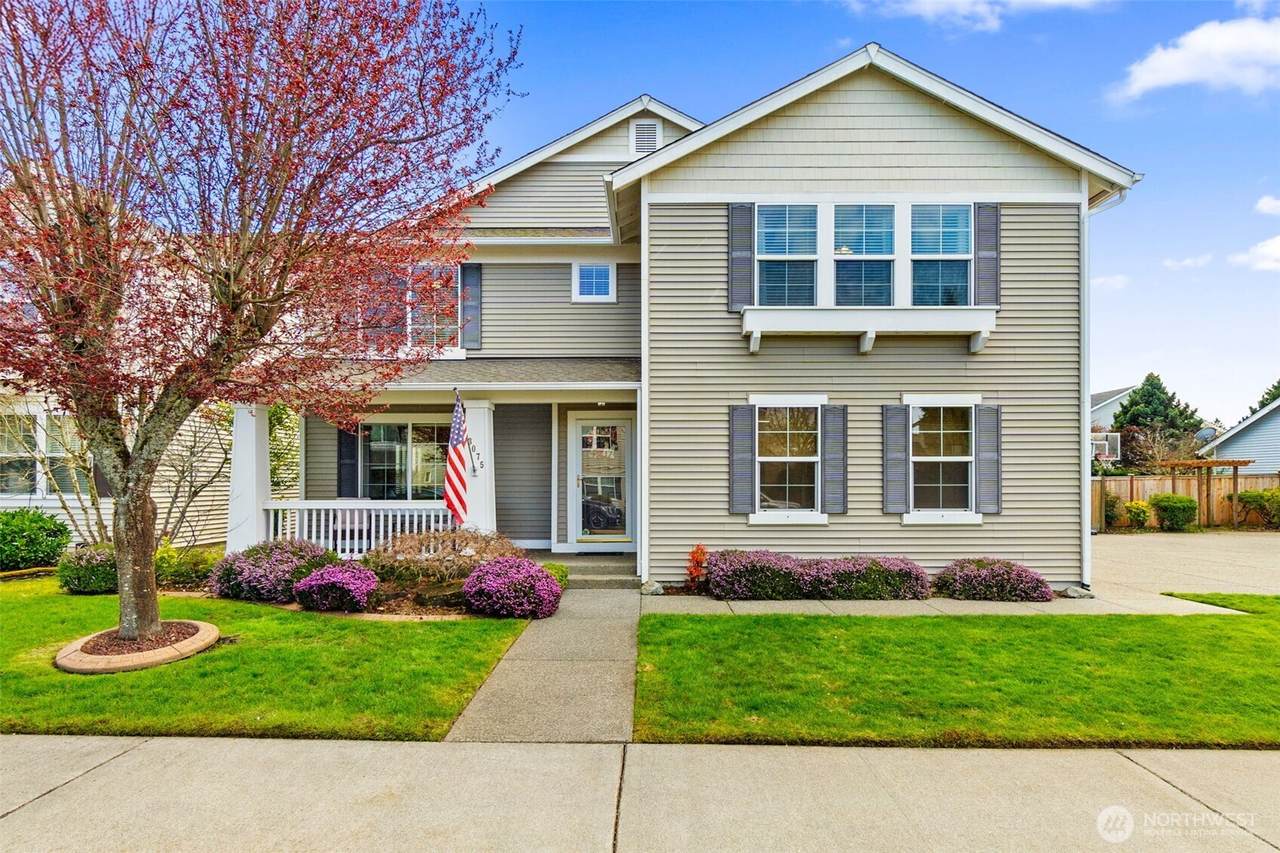 3075 Mcallister Street - Photo 1