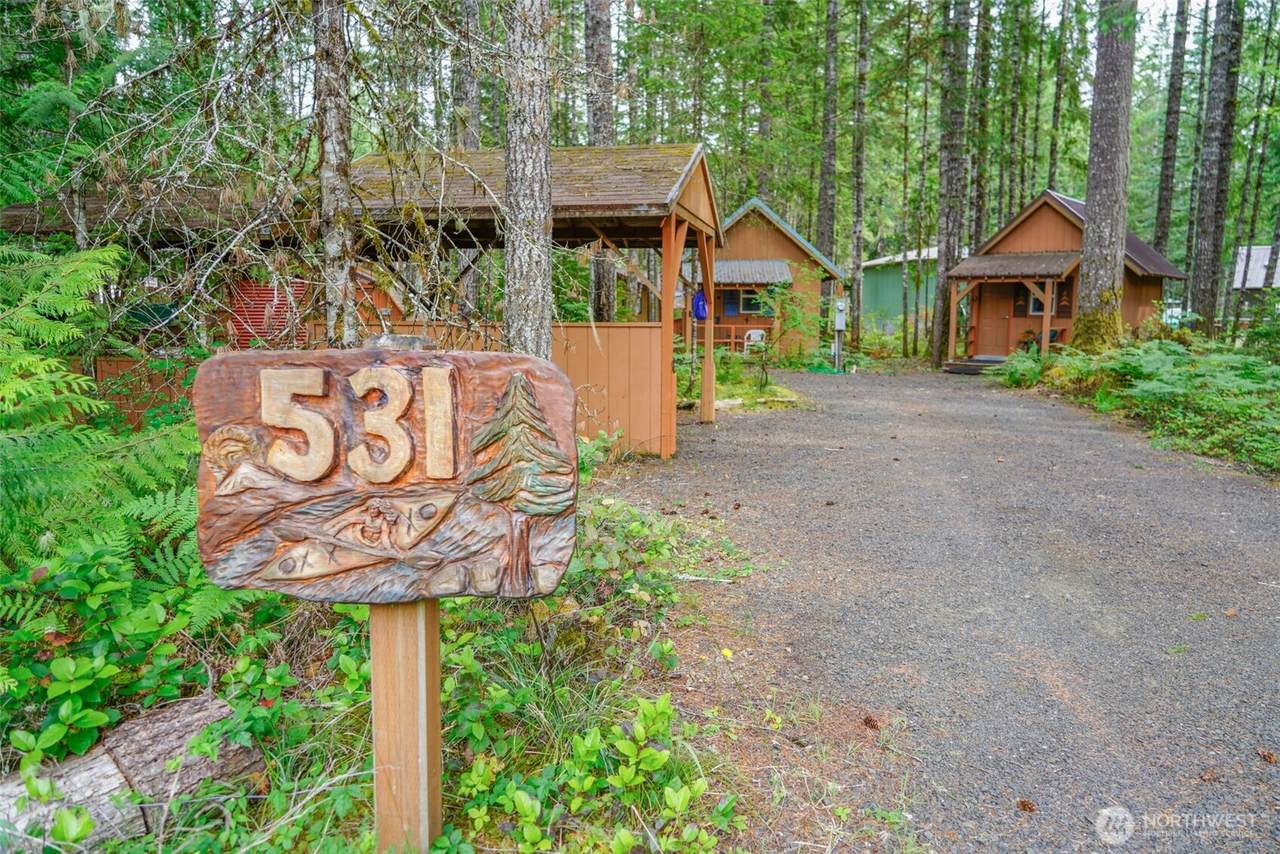531 Kokanee Ridge Drive - Photo 1