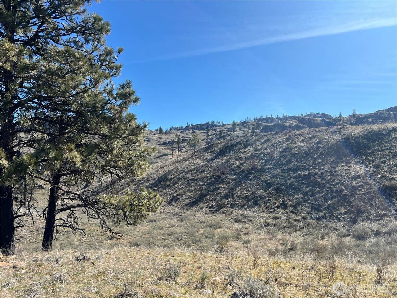 0 NNA Soap Lake Road - Photo 1
