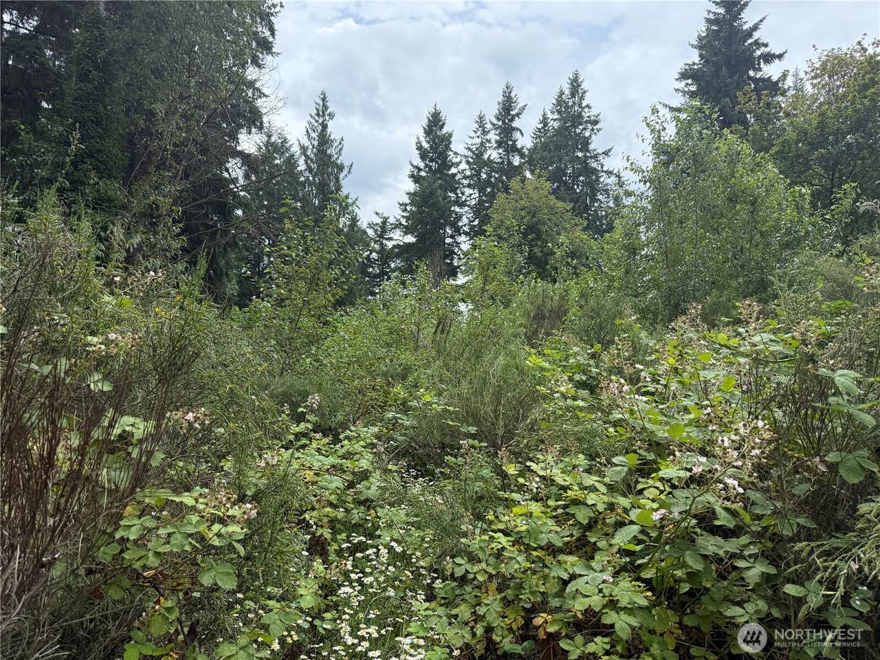 3219 Auburn Way - Photo 1