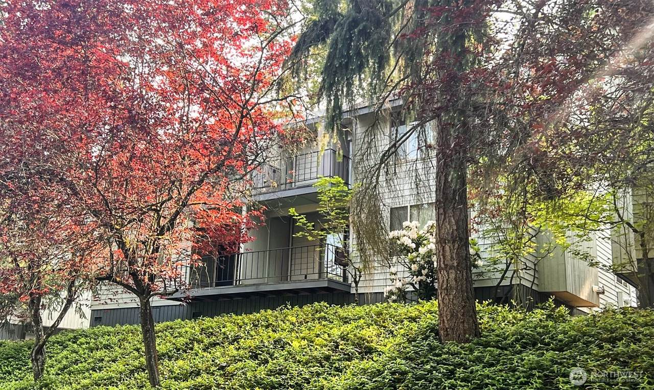 3838 Lake Washington Boulevard - Photo 1