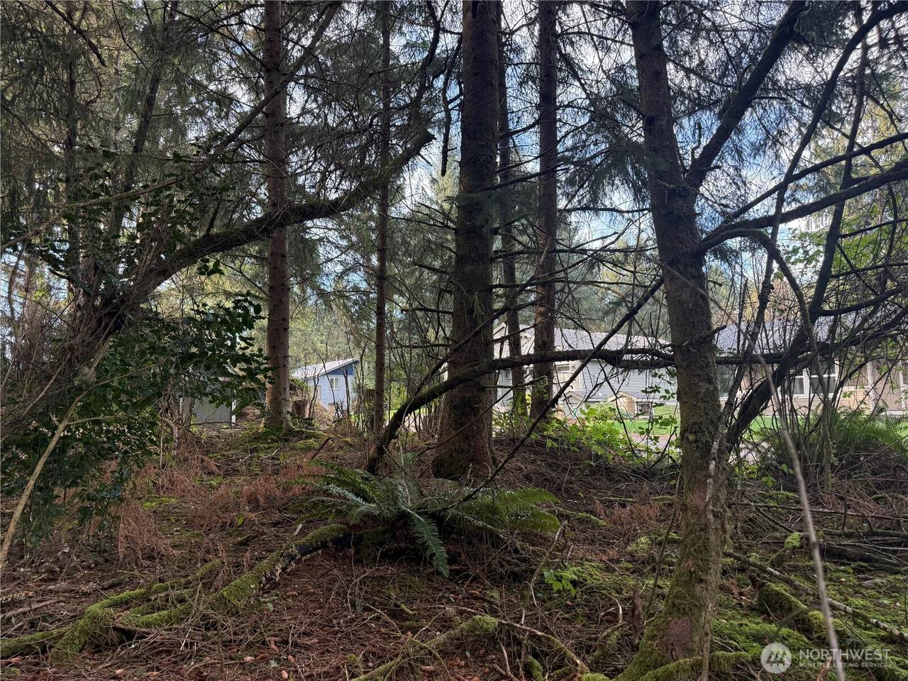 142 XXX 142nd Lane - Photo 1