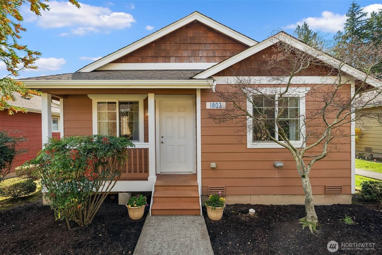 1803 Wildflower Way - Photo 1