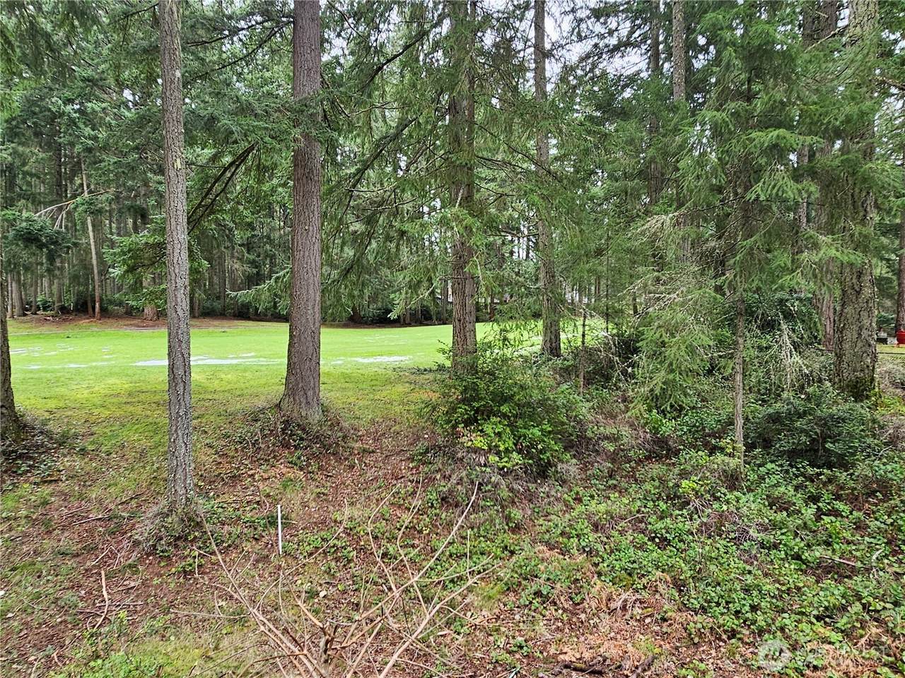 11005 Pioneer Drive - Photo 1