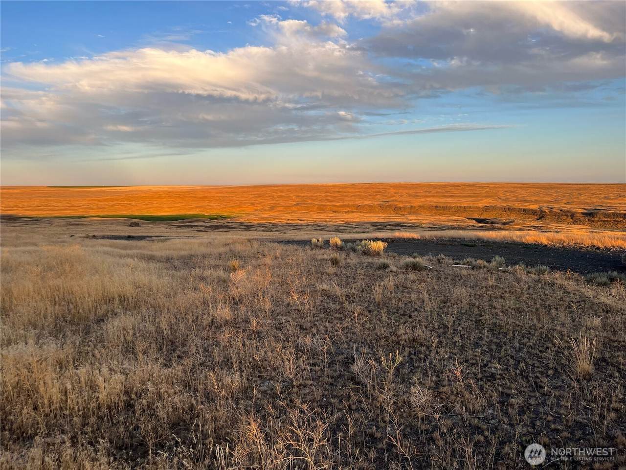 45 Eagle Springs Ranch - Photo 1