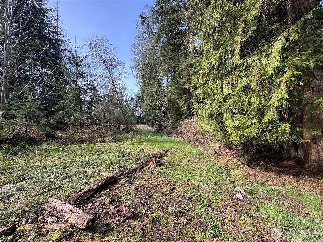 2211 Lindberg Road - Photo 1