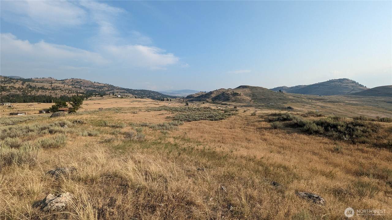 174 Round Up Road - Photo 1