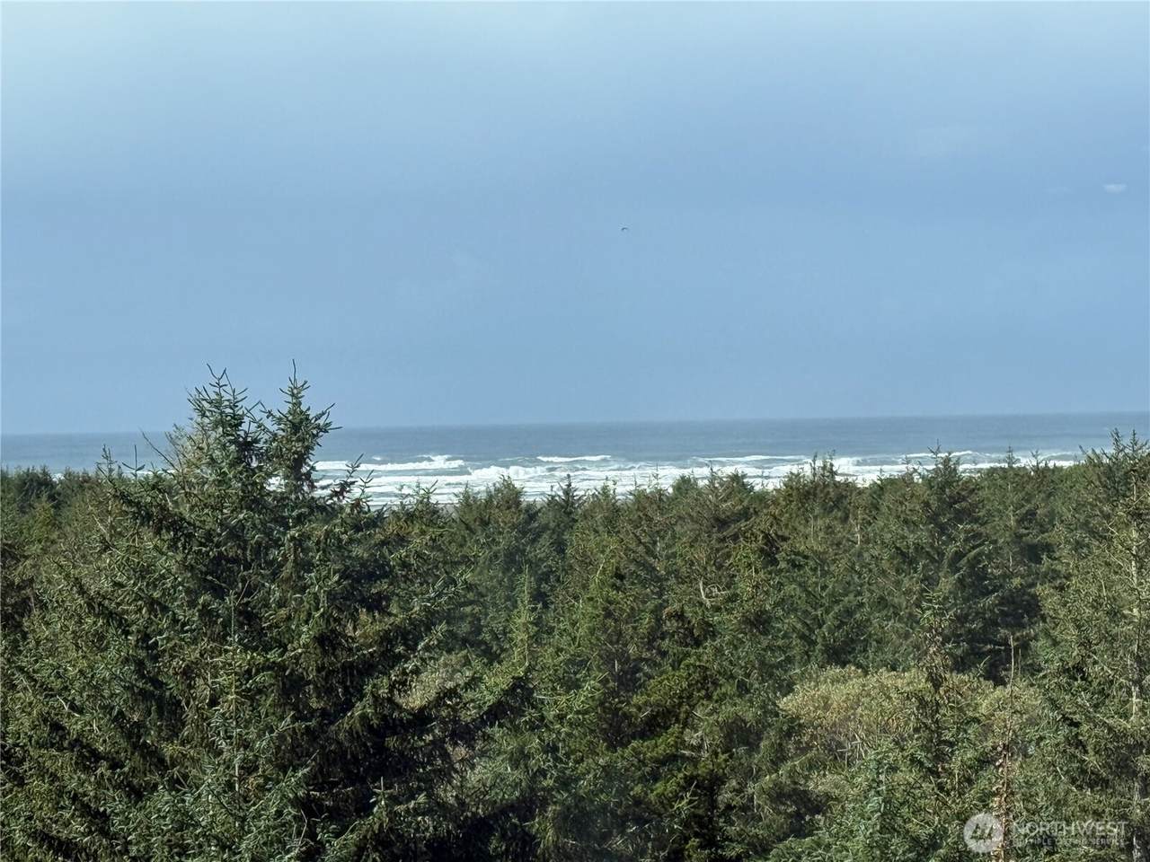 2815 Willows Road - Photo 1