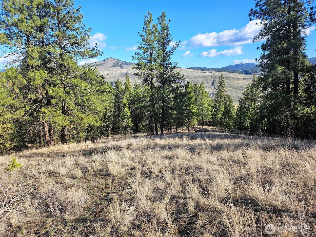 380 Lot Chopaka Tbd Road - Photo 1