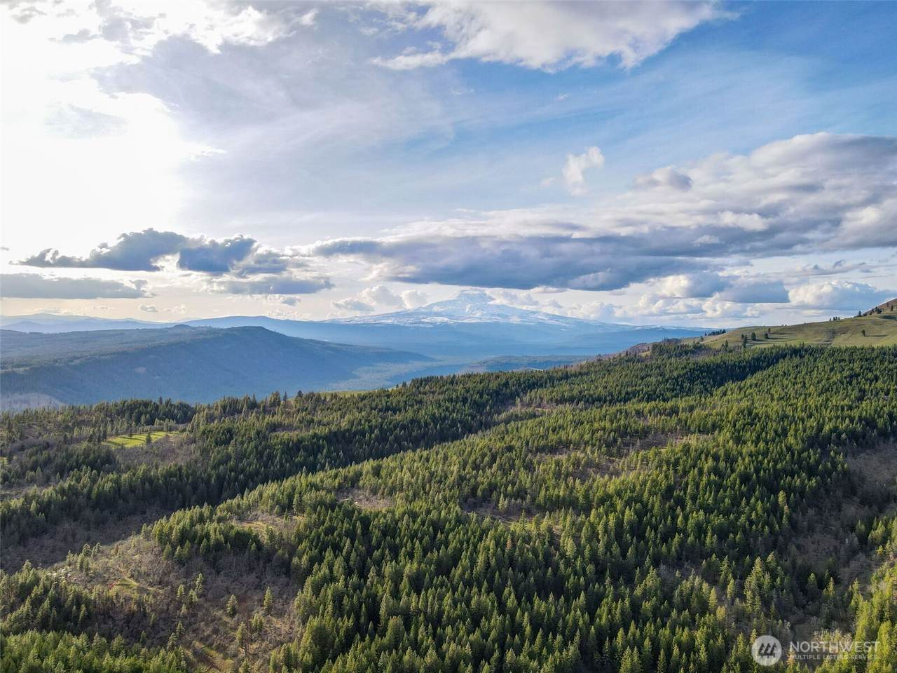0 Lot 7 Greyback Mountain Road - Photo 1