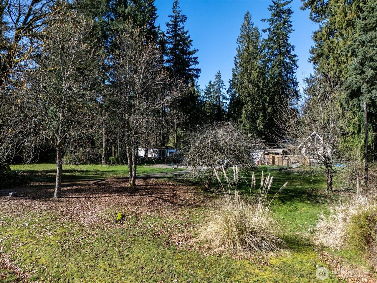 14504 50th Avenue - Photo 1