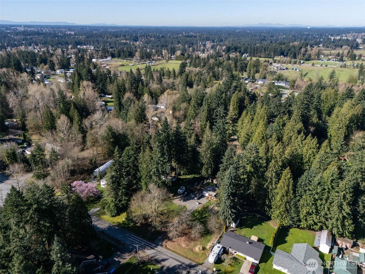 14508 50th Avenue - Photo 1