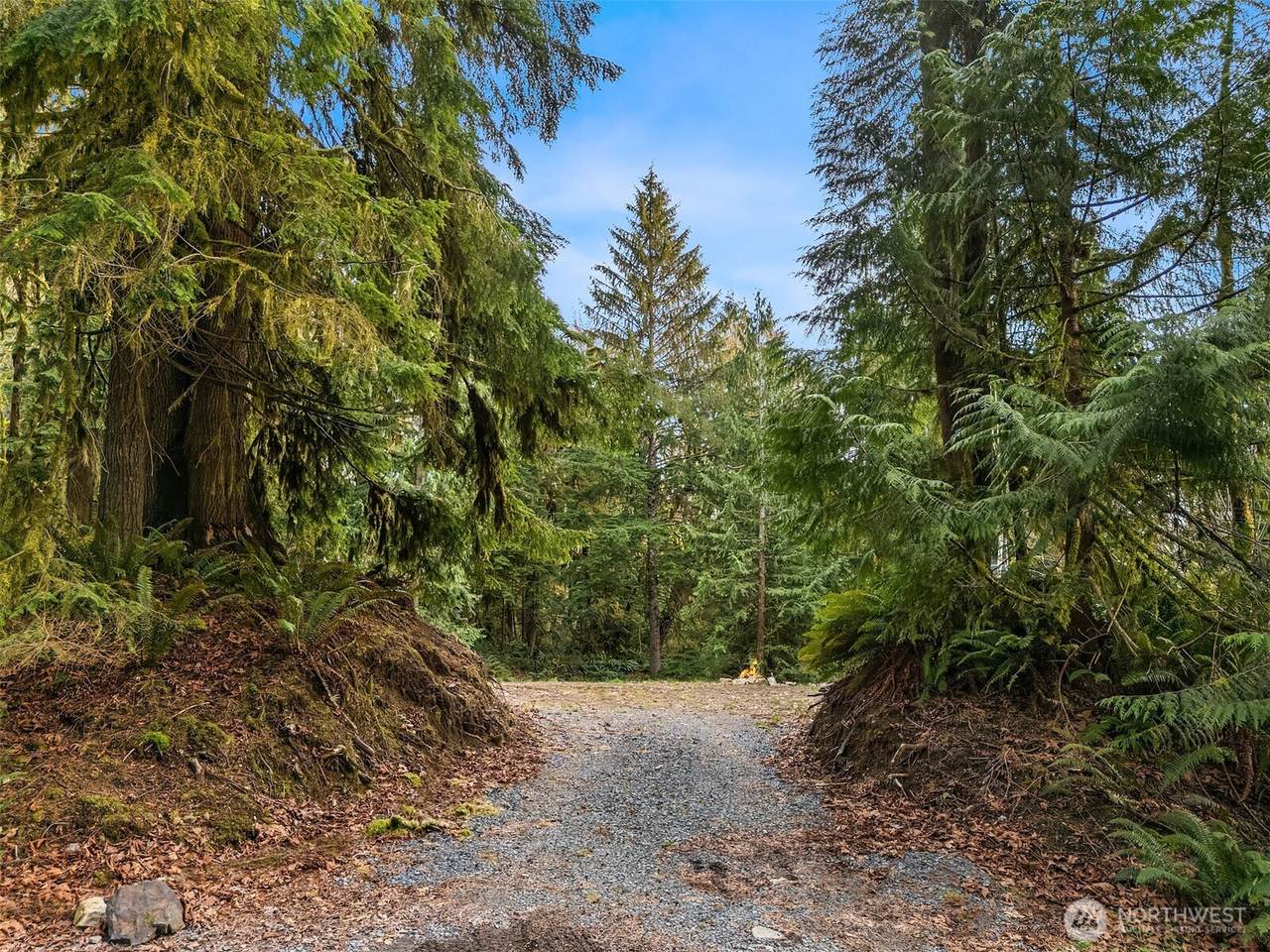 16423 148th Street - Photo 1