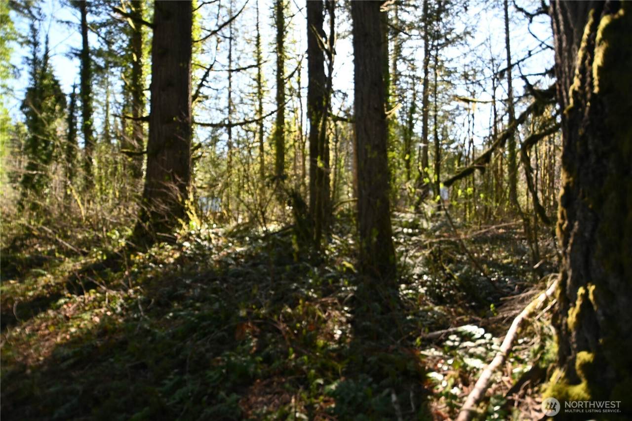 0 Old Cascade Hwy - Photo 1