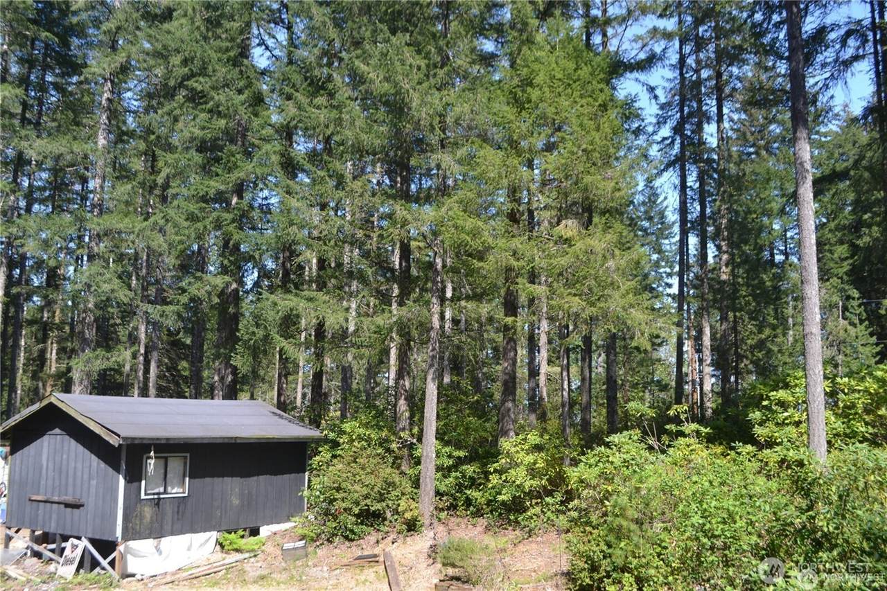 0 Lot #55 Collins (80 Collins Dr.) Drive - Photo 1