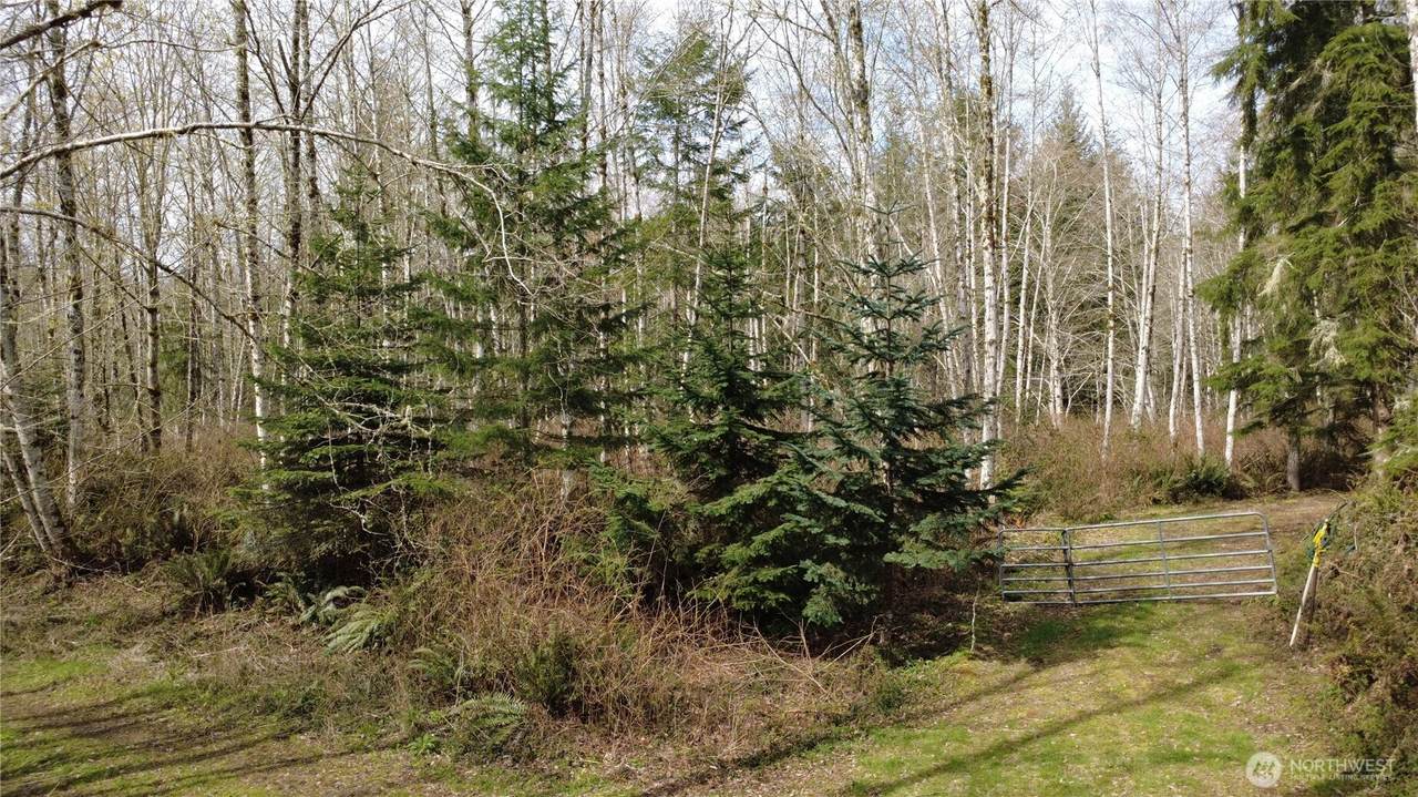 1 XXXX Blacktail Court - Photo 1