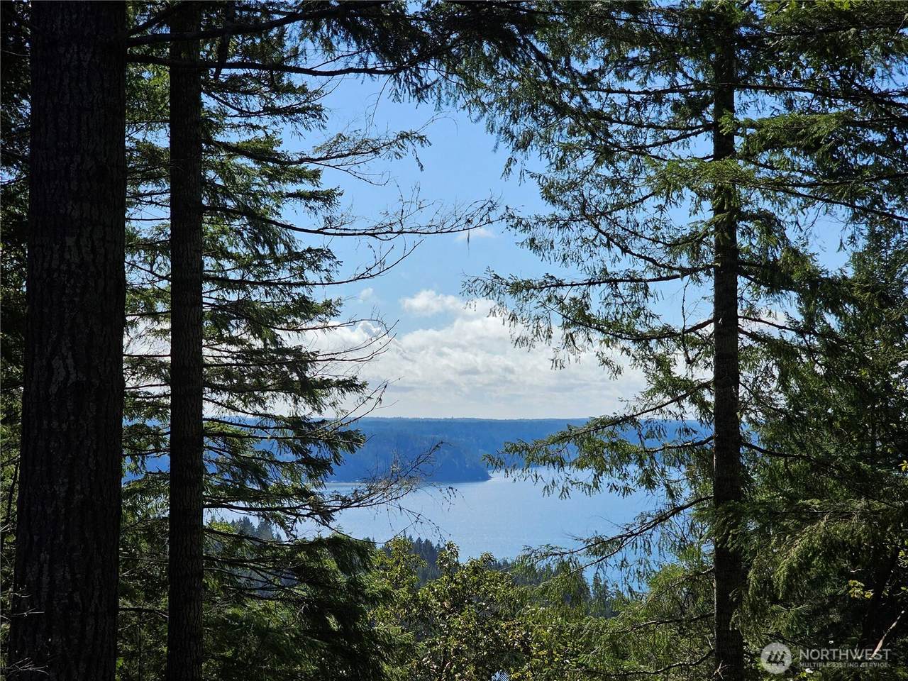 753 Jupiter Loop - Photo 1