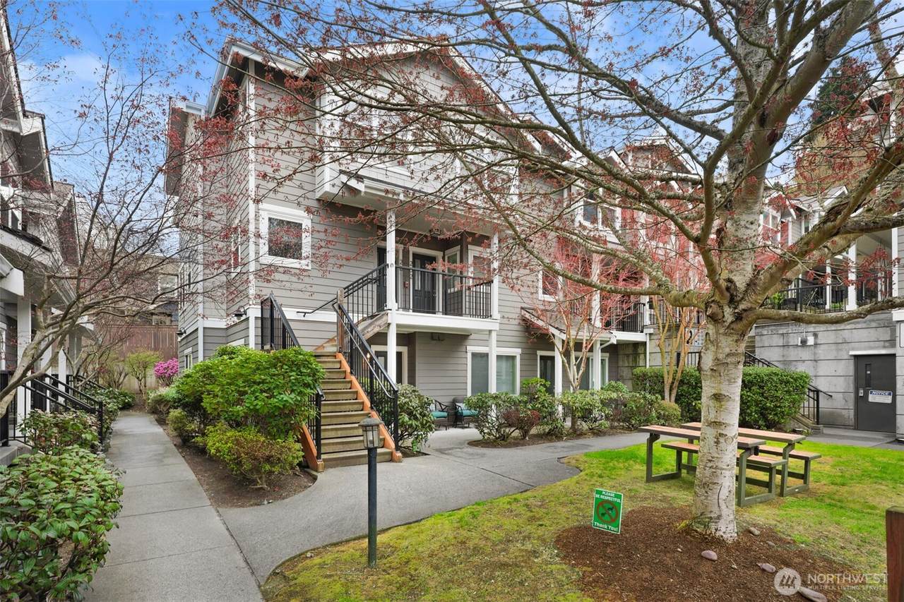 7322 Rainier Avenue - Photo 1