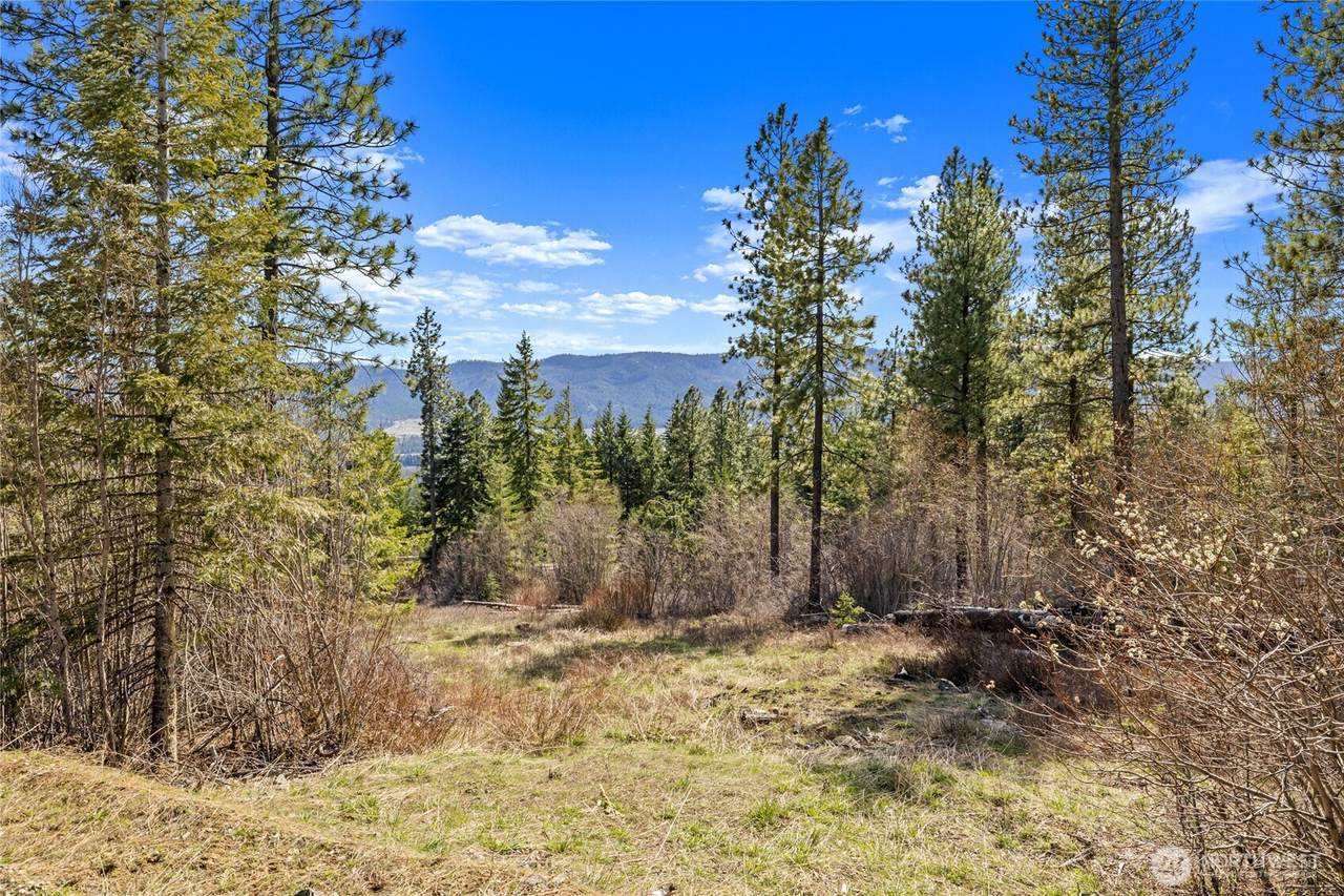 6 Forest Ridge (Lot 6) Drive - Photo 1
