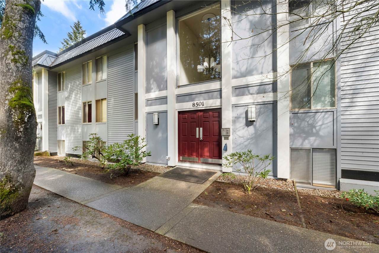 8501 Zircon Drive - Photo 1