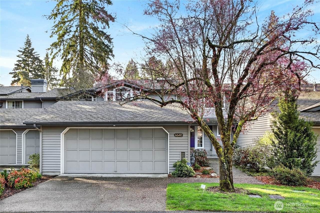 6640 114th Avenue - Photo 1