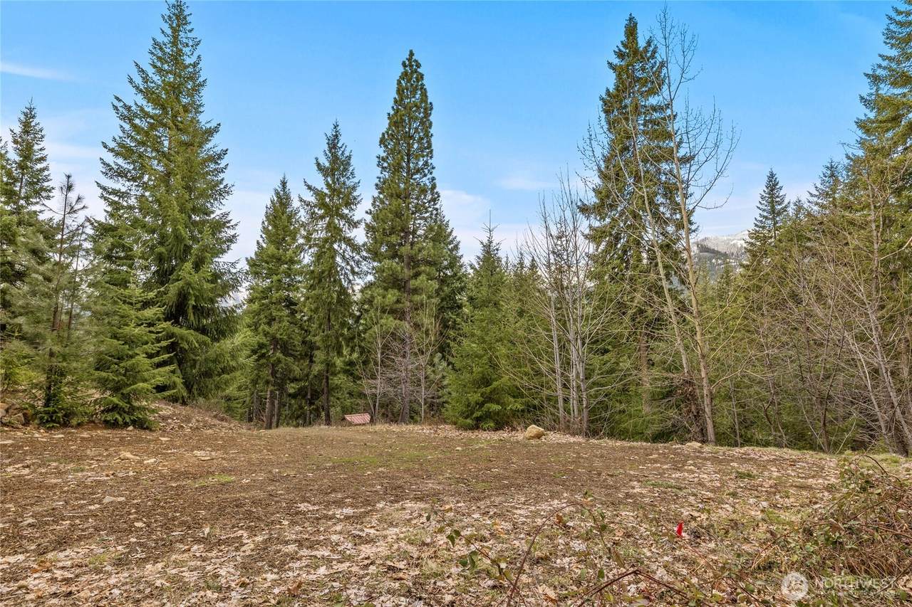 33 Lakeside Court - Photo 1