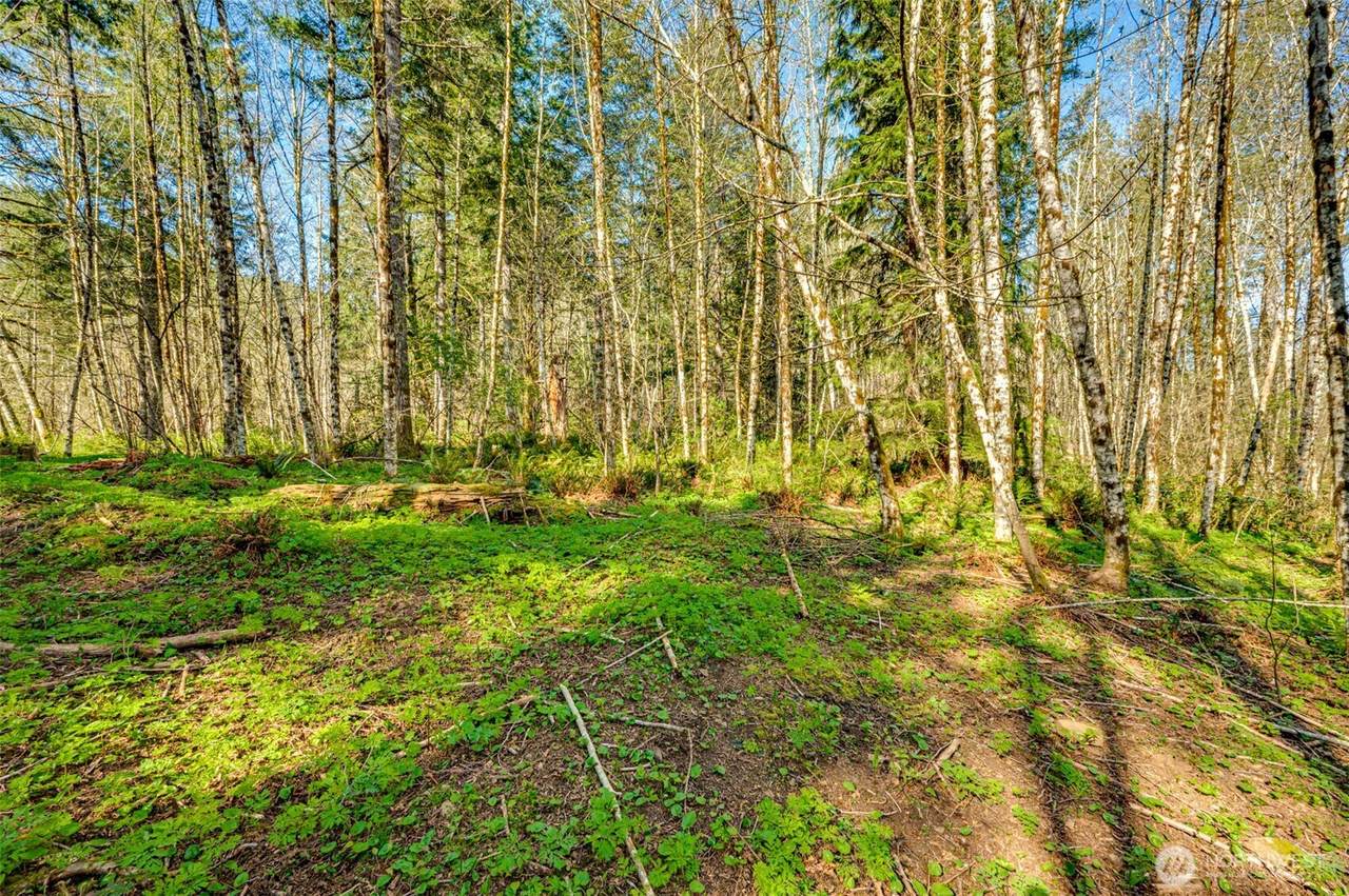 0 Buncombe Hollow Road - Photo 1