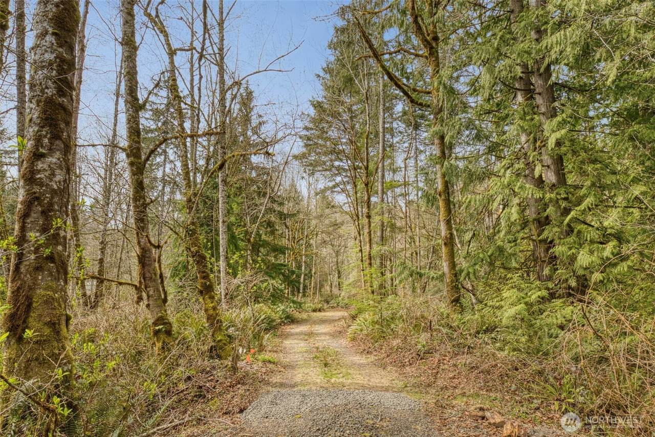 435 Sword Fern Lane - Photo 1