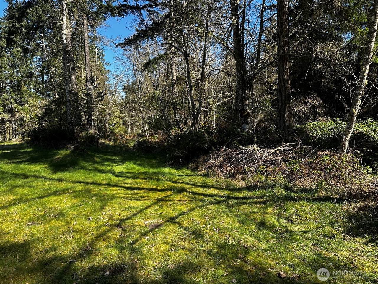 99 Lot 3 Robinson Road - Photo 1