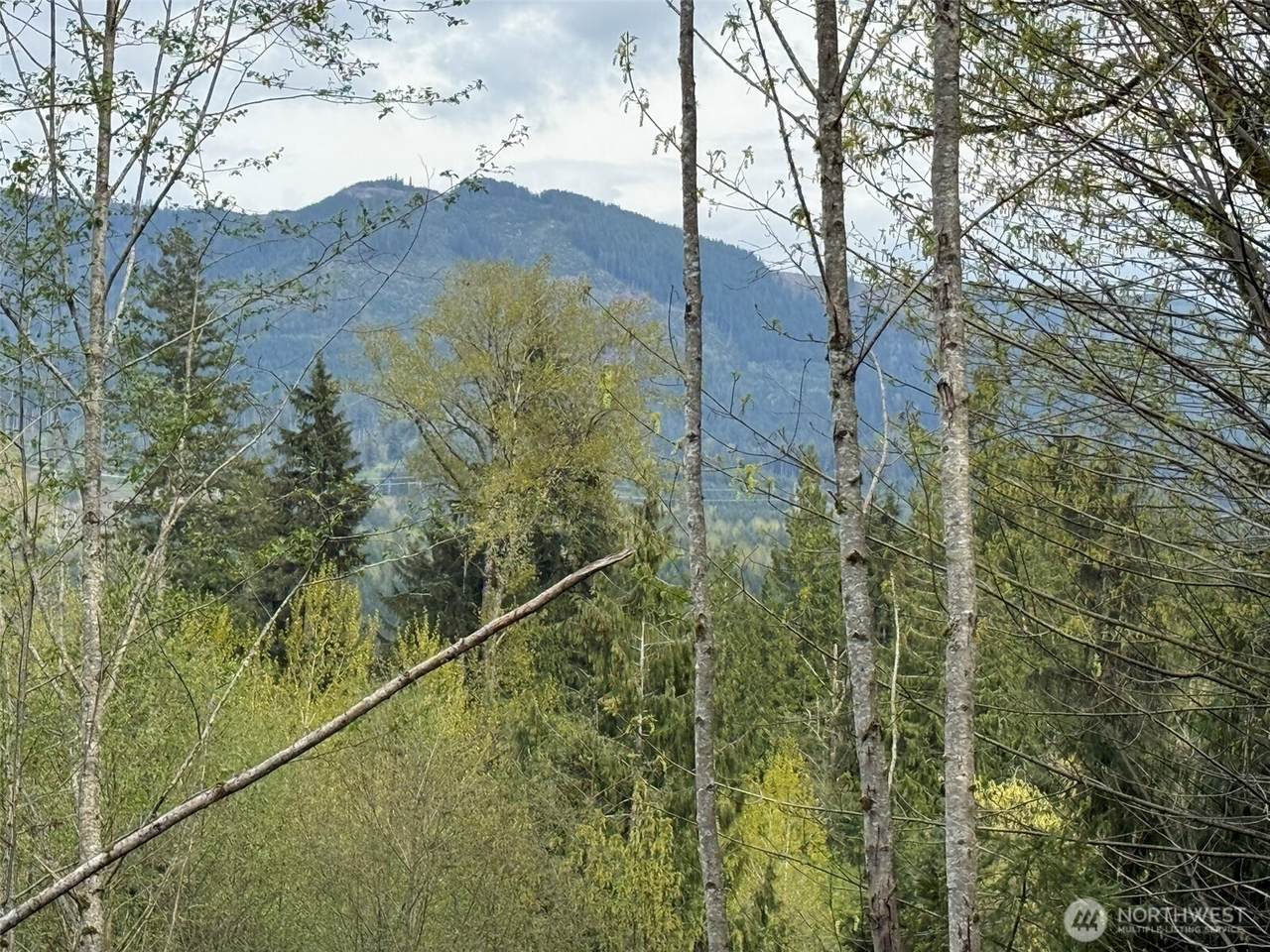 33115 37th Avenue - Photo 1