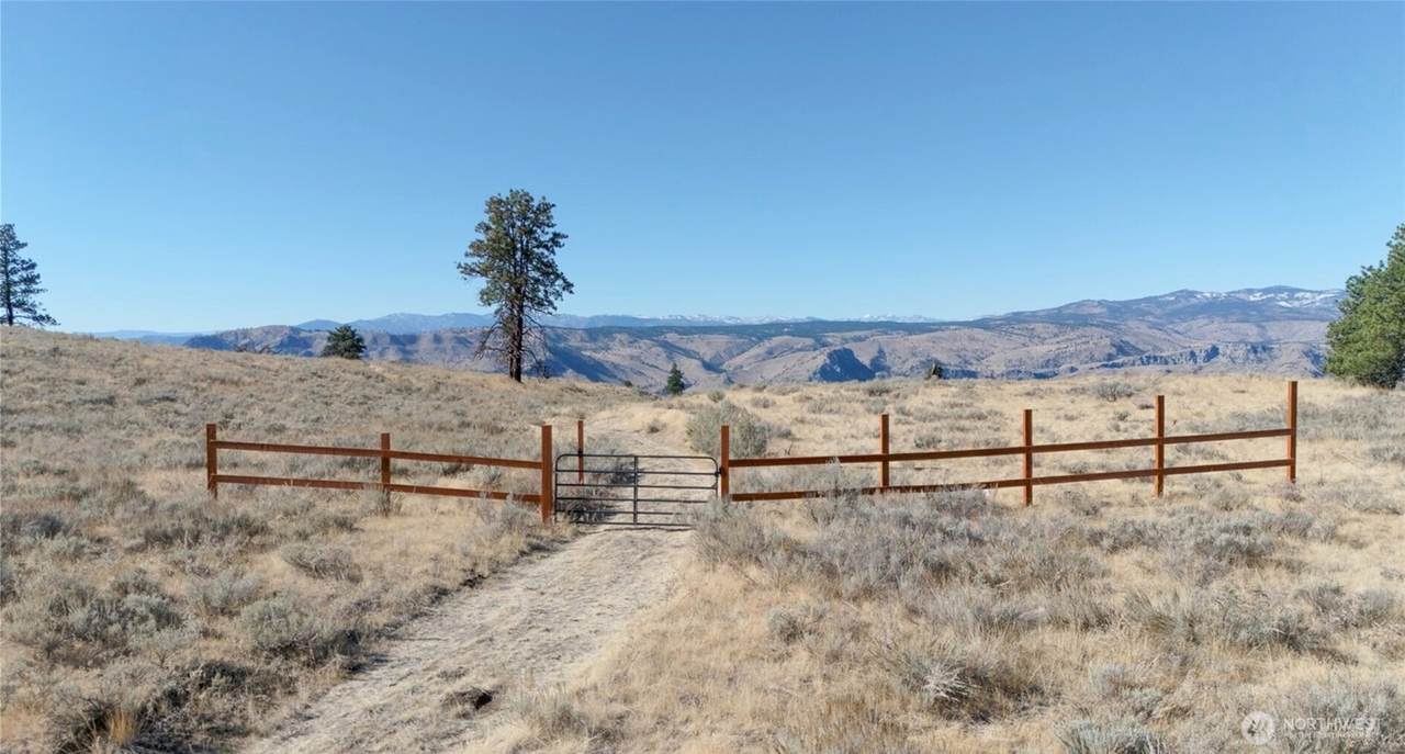 54 Wolf Holler Road - Photo 1