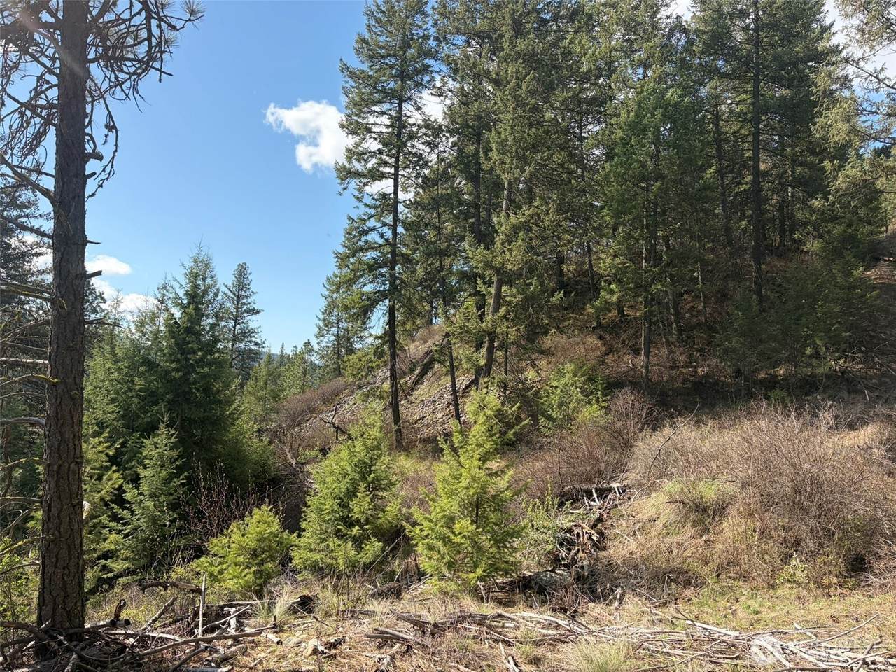 111 TBD West Curlew Lake Road - Photo 1