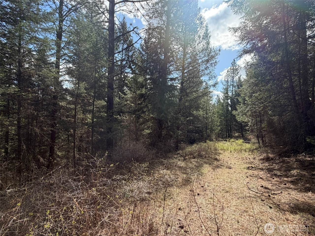 111 TBD W West Curlew Lake Road - Photo 1