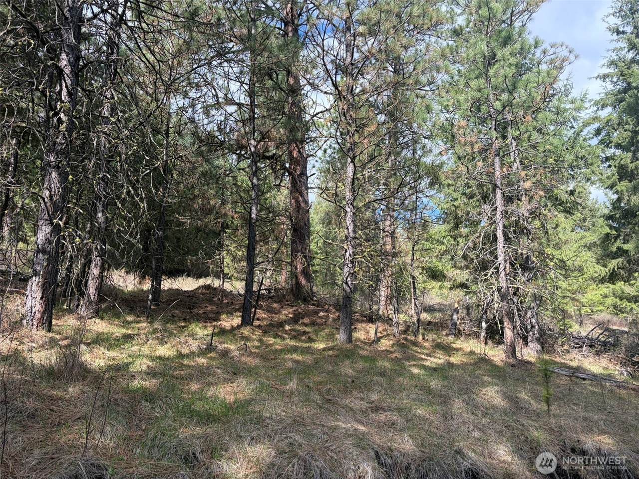 111 TBD E West Curlew Lake Road - Photo 1