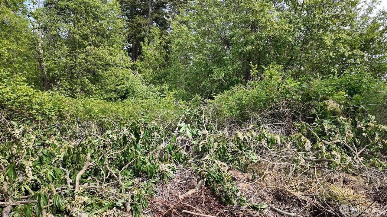 0 Lake Campbell Road - Photo 1