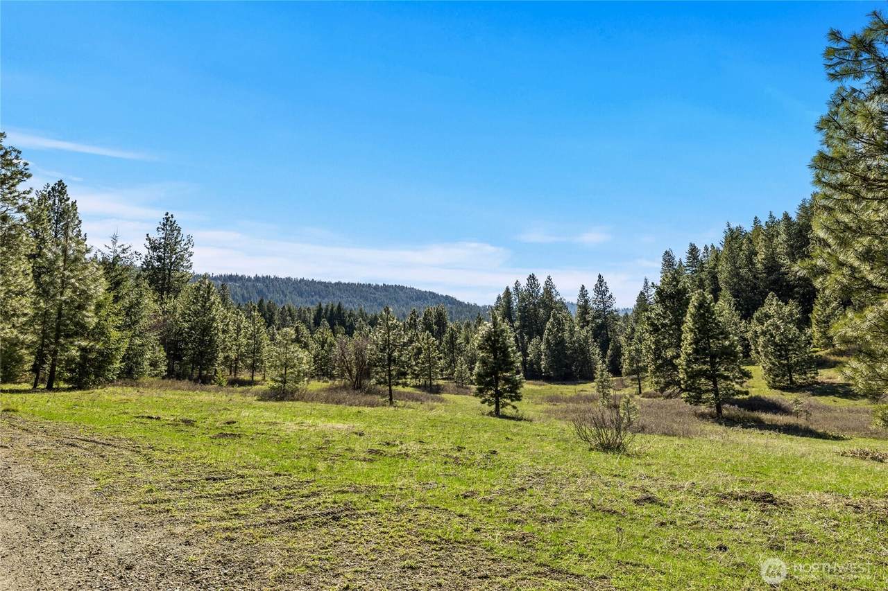 0 XXX Thornton Creek Lane - Photo 1