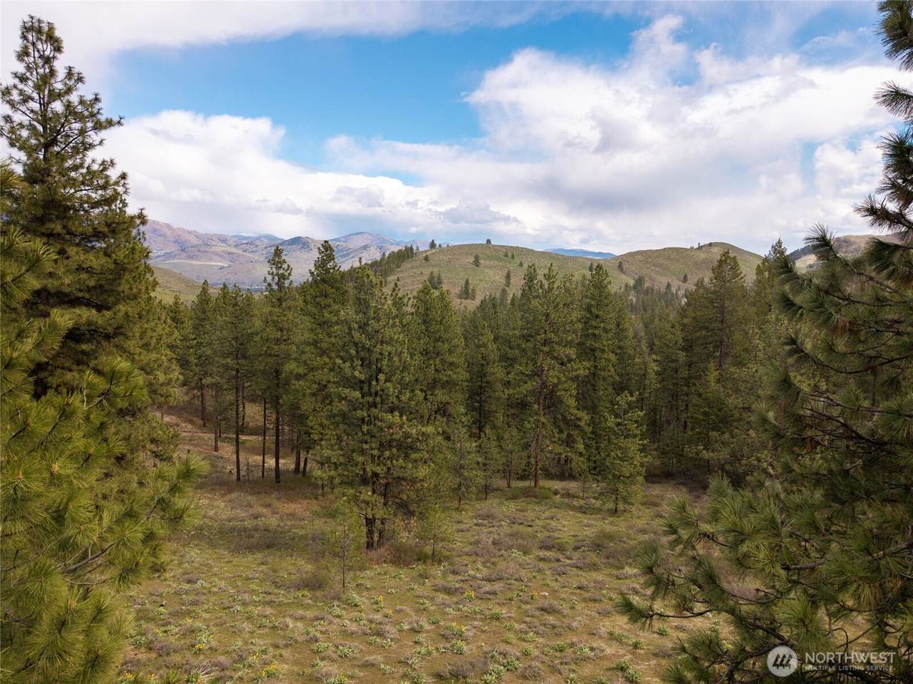 9 Whitebark Lane - Photo 1