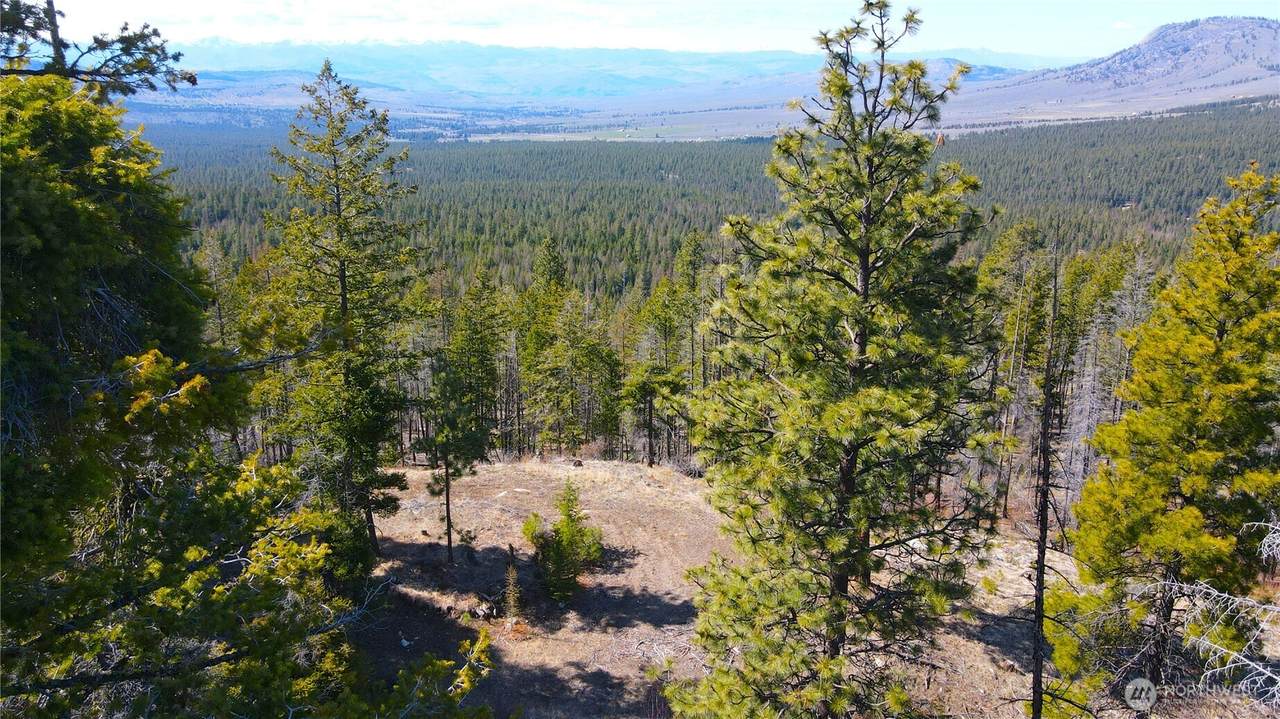 32 1 Twin Creeks Ranch - Photo 1