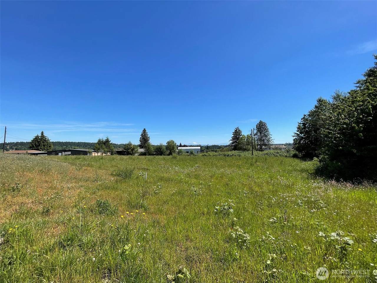 872 Still Road - Photo 1