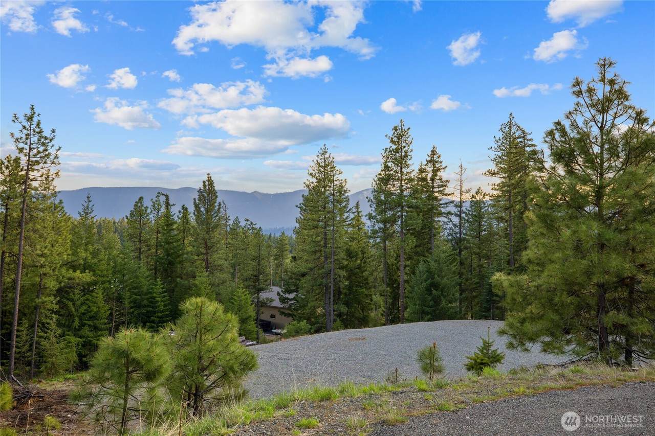 26 Coralbell (Lot 26) Lane - Photo 1