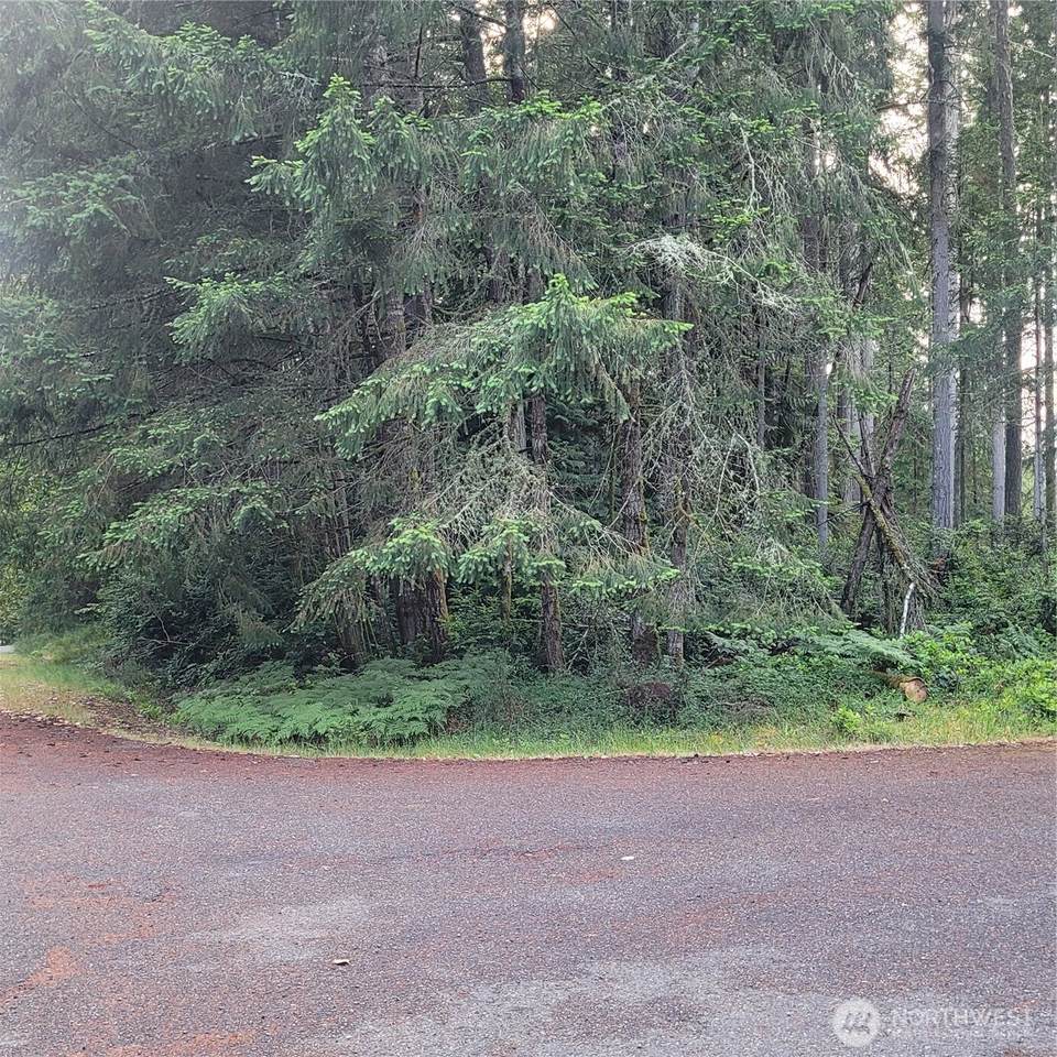 8922 129th Avenue Ct - Photo 1