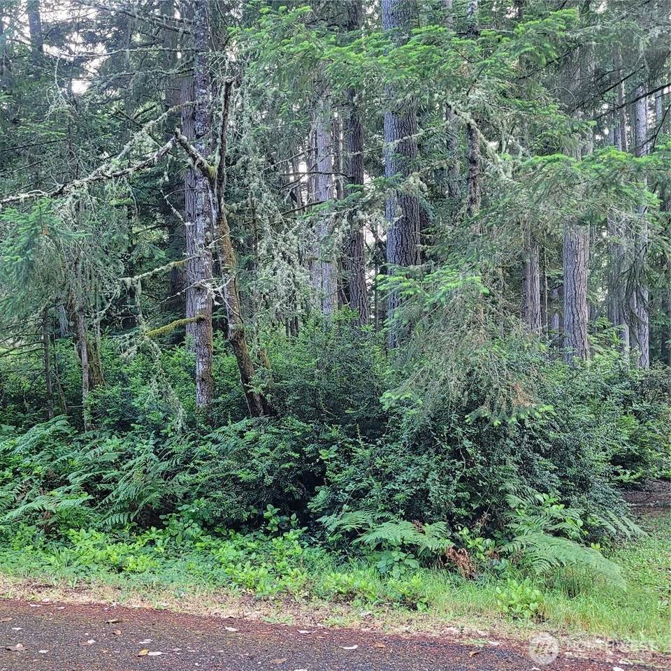 https://bt-photos.global.ssl.fastly.net/nwmls/1280_boomver_1_2513493-1.jpg
