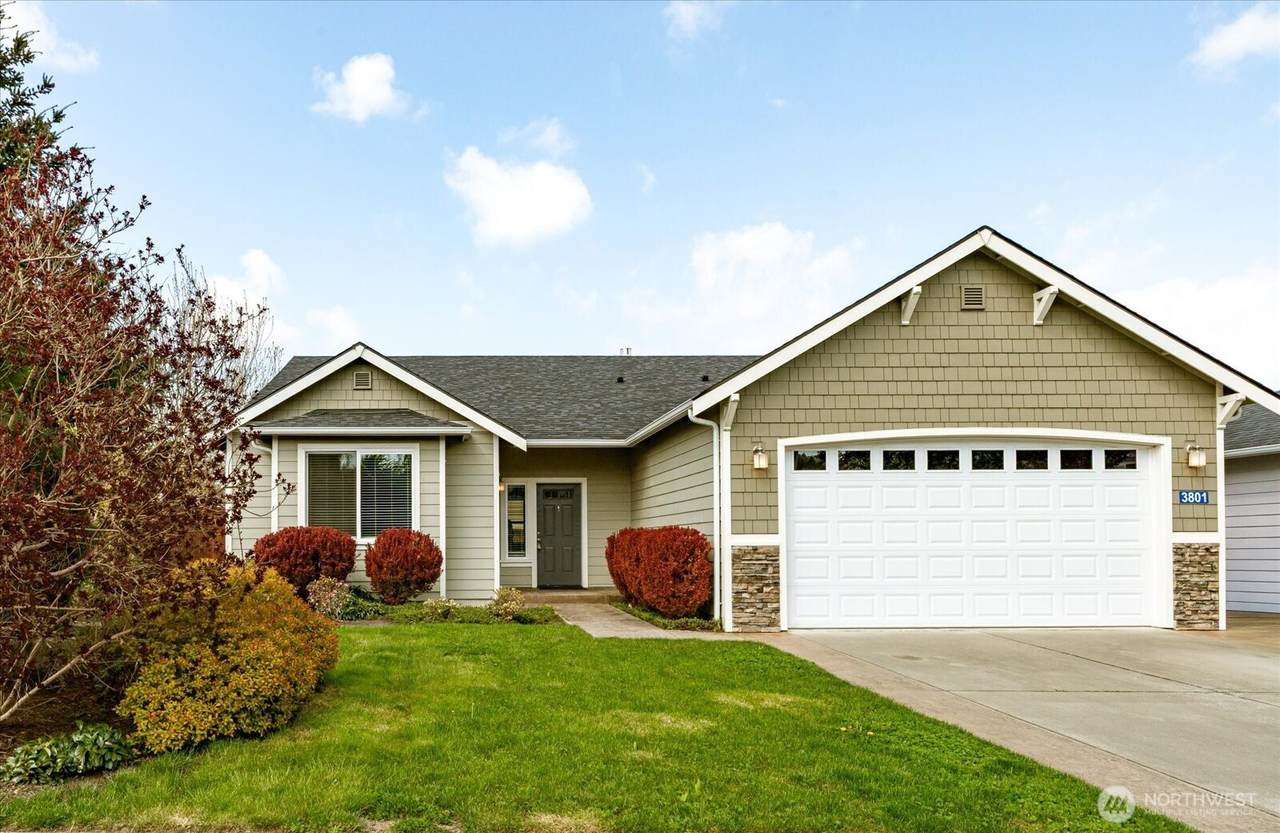3801 Summersun Street - Photo 1