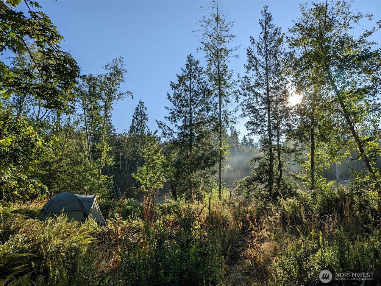 681 Jared Road - Photo 1