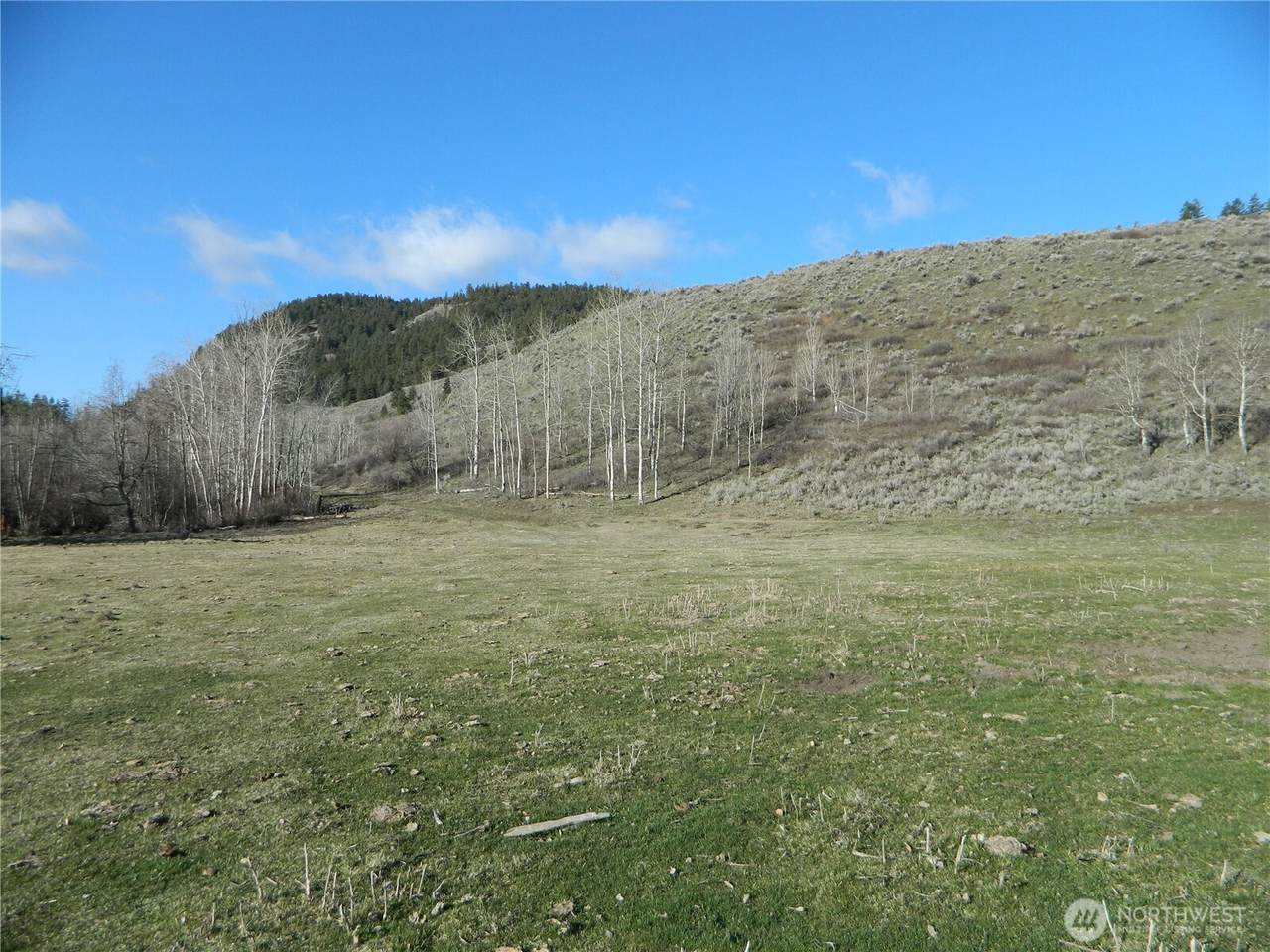 111 Tbd Ellemeham Mountain Ridge Road - Photo 1