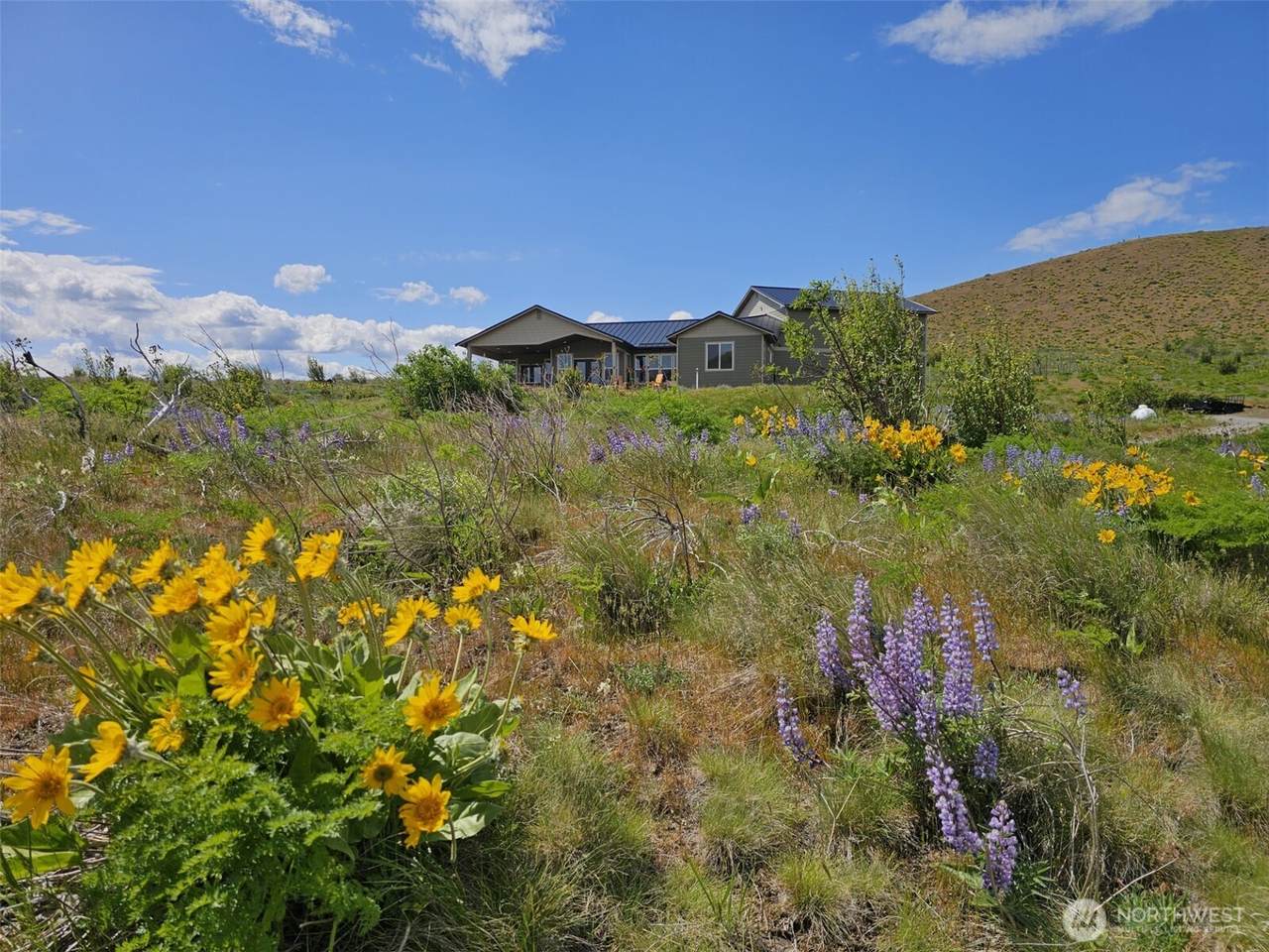 1522 Deer Valley Drive - Photo 1