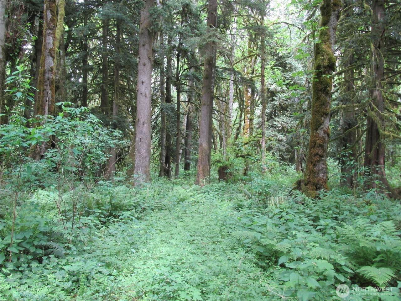 0 Arnold Lane - Photo 1