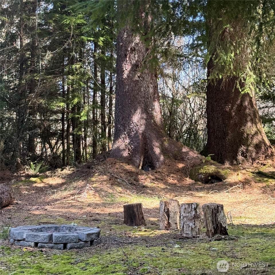 15500 Birch Street - Photo 1